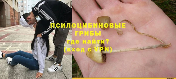 мескалин Верхний Тагил